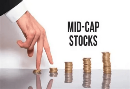 Midcaps Outperform Smallcaps Long Term Provide Better Risk Adjusted Returns