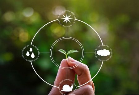 Green Frontier Capital Named Public's Favourite VC, Sole Indian Firm in Climate50 2024