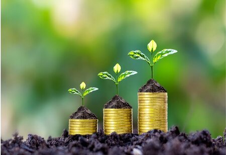 Figtree Pharmacy Raises Seed Funding to Expand Hyperlocal Pharmacy