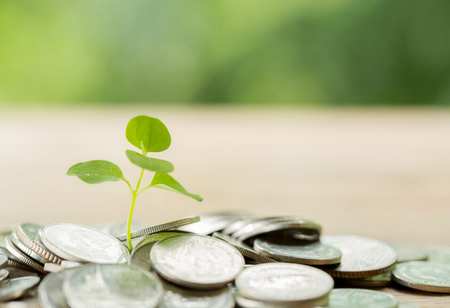 Mutual Fund market