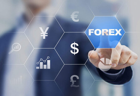 India's Forex Reserves Hit Record $740.8 Billion