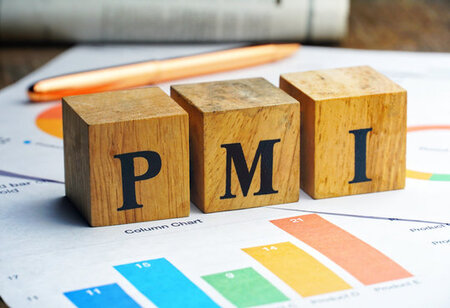 India's Services PMI Falls to 4-Year Low in July at 53.3