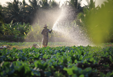 Central Government Proposes Tax on Agricultural Water Usage