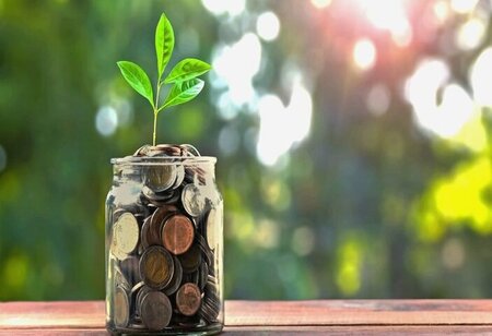 Petpooja Secures USD 9 Point 5 Mn in Series C Funding After Four Years