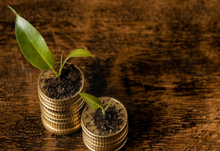 The Whole Truth Raised USD 15 Mn in Series C Round Spearheaded by Sofina