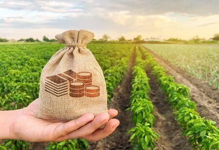 SBI Citi Announce USD 295 Mn Social Loan to Support Indian Small Farmers