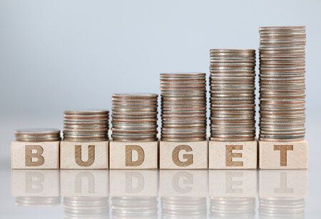 Will Union Budget Rise Upon the Industries Expectations