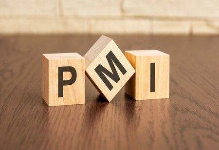 India's Services PMI Falls to 57.4 in June, Hits 17-Month Low
