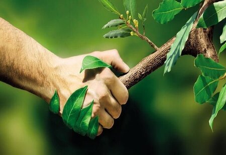 SEDL Drives Biomass to Ethanol Innovation for India Green Economy at Global Competitive Cost
